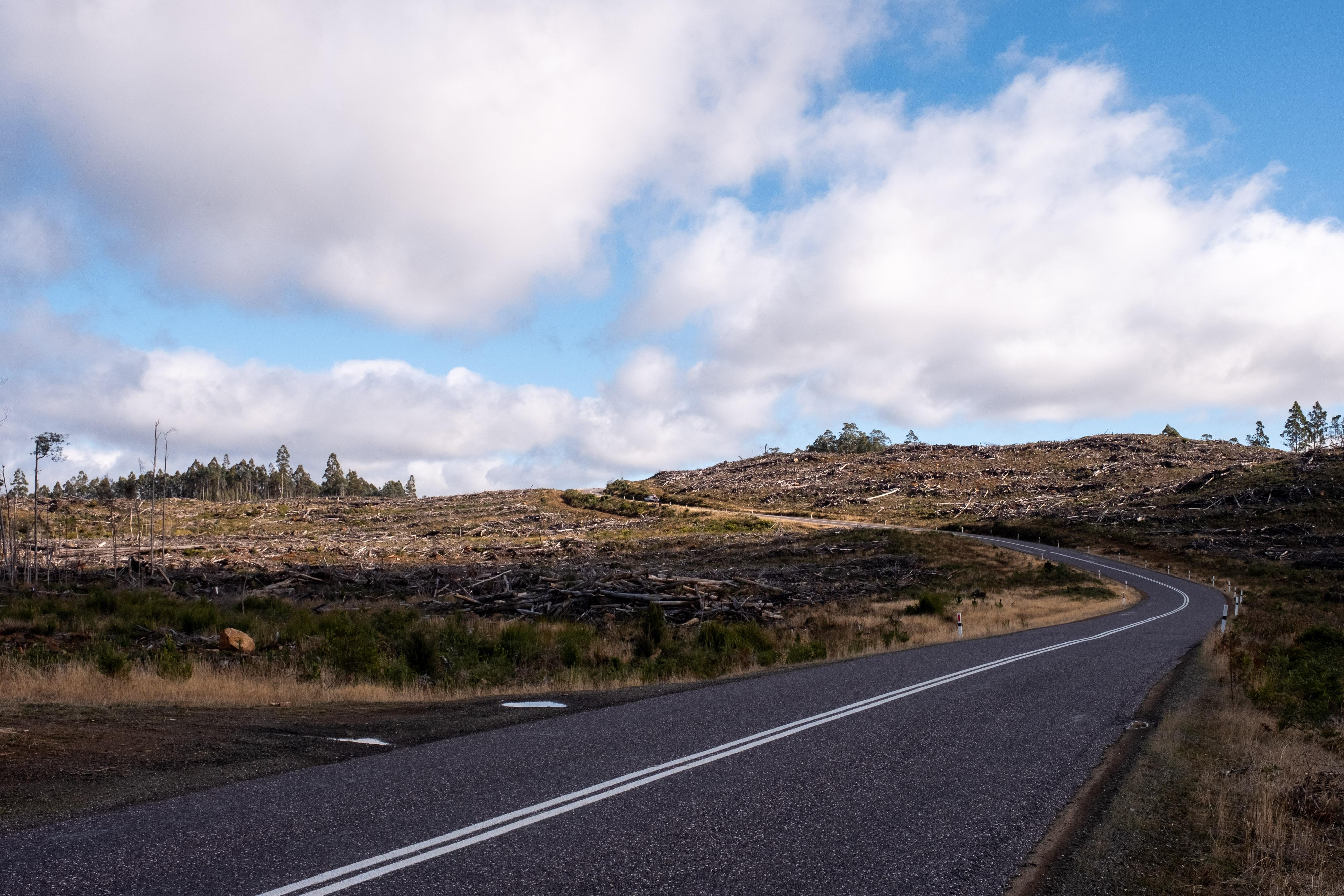 FUJIFILM X-H1 | XF16-55mmF2.8 R LM WR | 24.2 mm | 1/480 | f/9 | ISO 400
