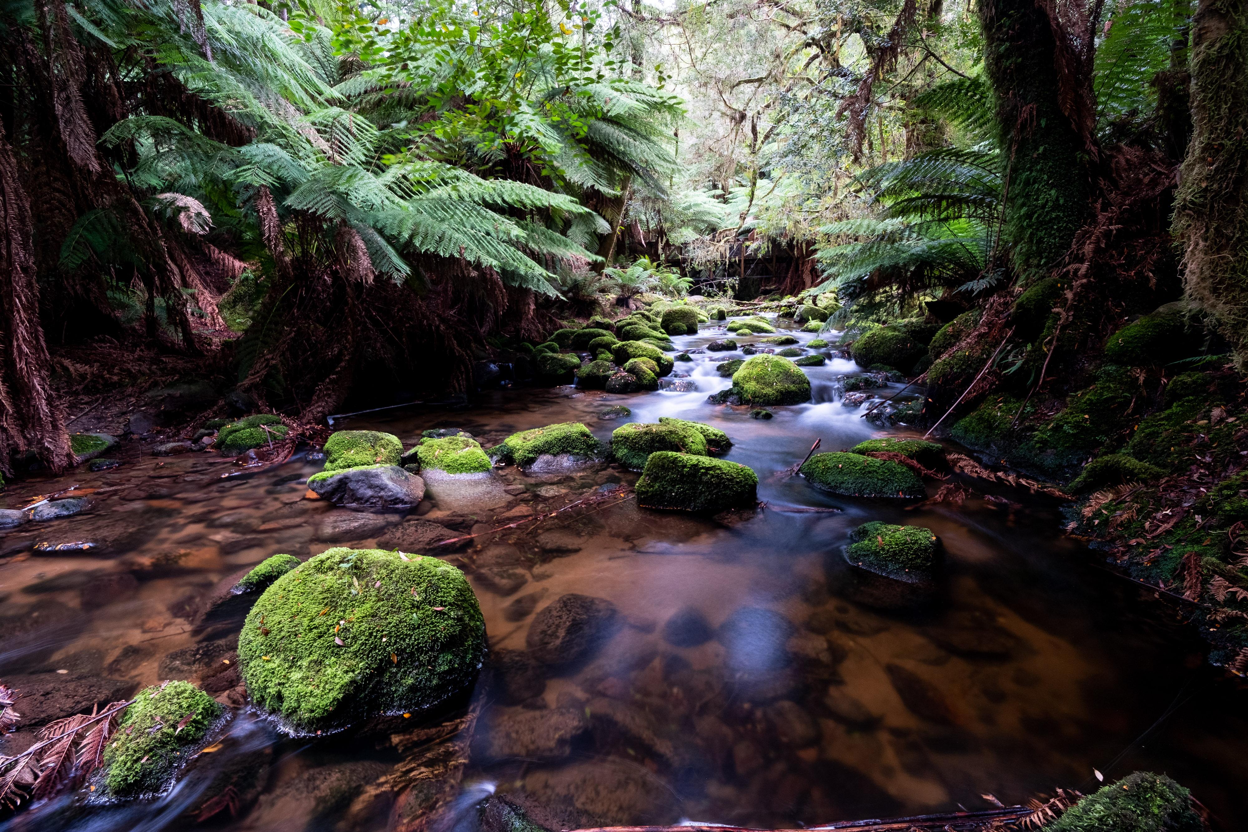 FUJIFILM X-H1 | XF8-16mmF2.8 R LM WR | 11.4 mm | 6 | f/8 | ISO 400