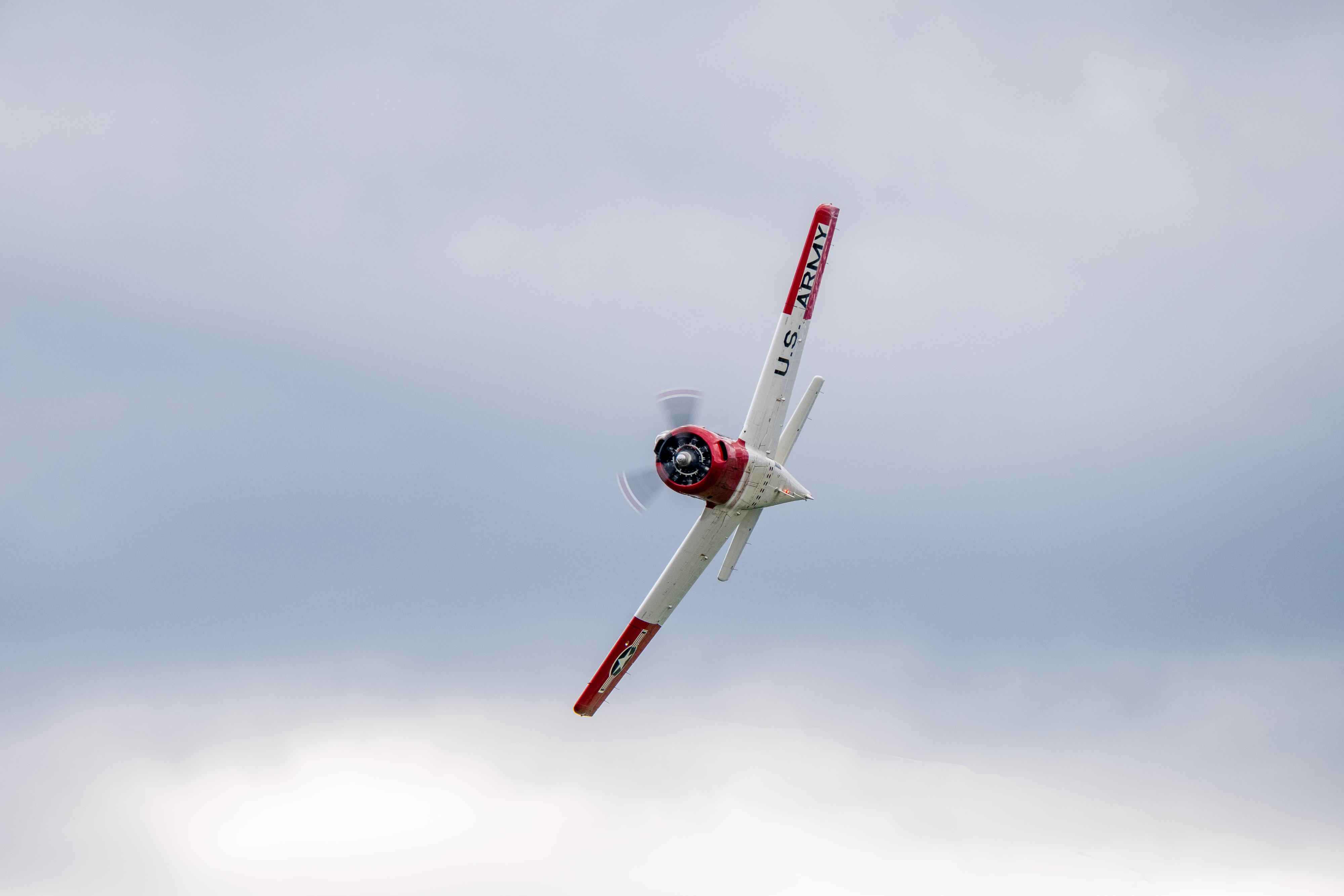 FUJIFILM X-H1 | XF100-400mmF4.5-5.6 R LM OIS WR | 400.0 mm | 1/250 | f/8 | ISO 400