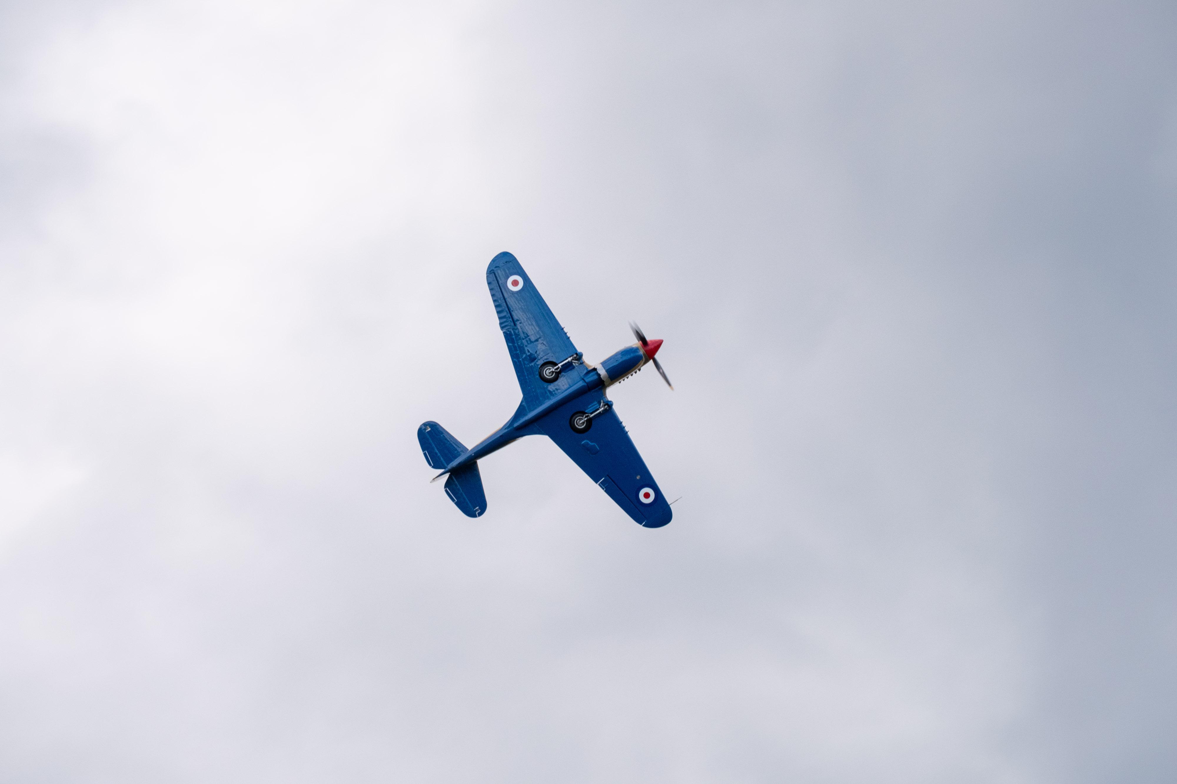 FUJIFILM X-H1 | XF100-400mmF4.5-5.6 R LM OIS WR | 176.7 mm | 1/250 | f/7.1 | ISO 400
