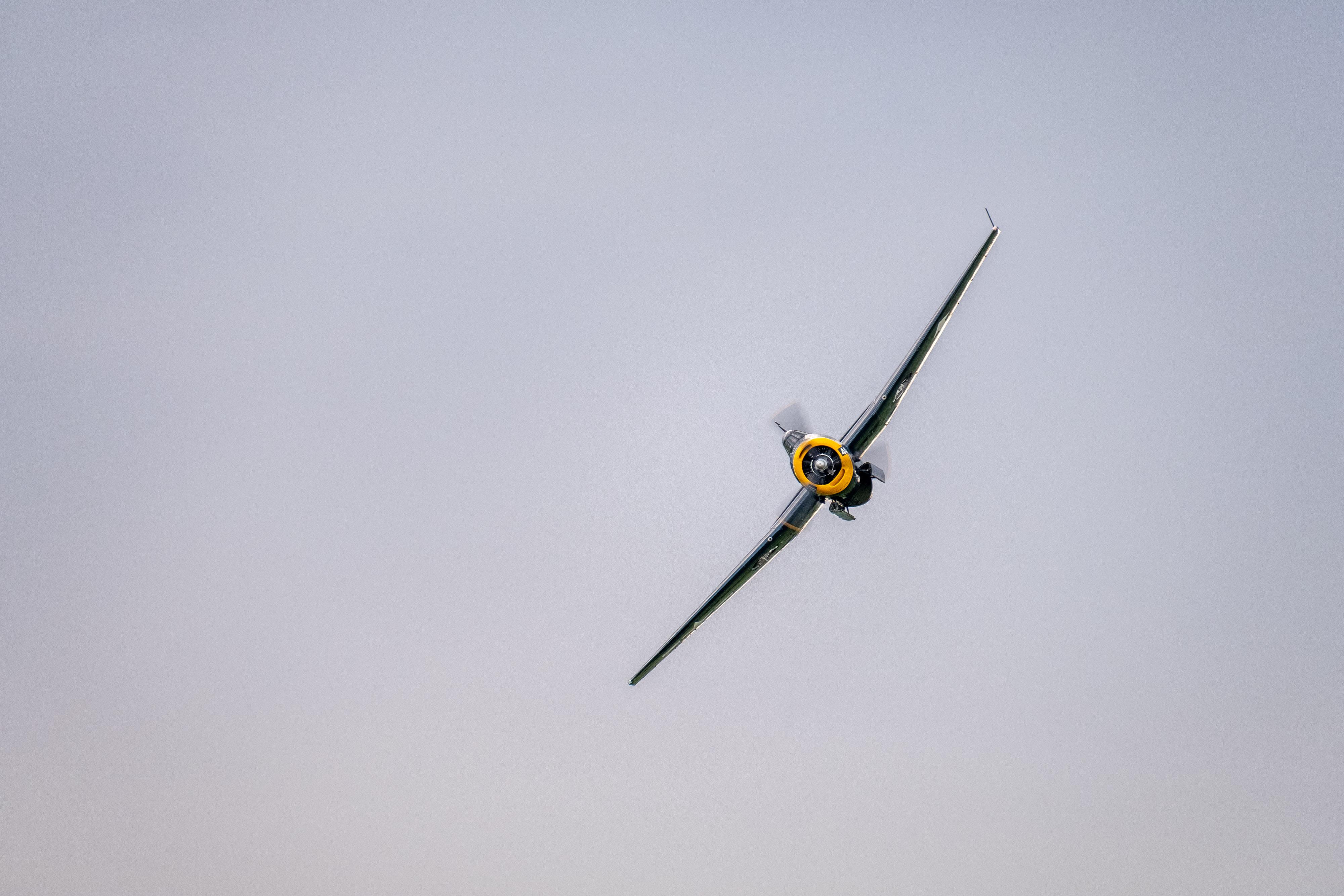 FUJIFILM X-H1 | XF100-400mmF4.5-5.6 R LM OIS WR | 400.0 mm | 1/250 | f/5.6 | ISO 640