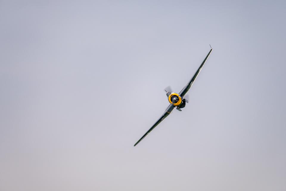 FUJIFILM X-H1 | XF100-400mmF4.5-5.6 R LM OIS WR | 400.0 mm | 1/250 | f/5.6 | ISO 640