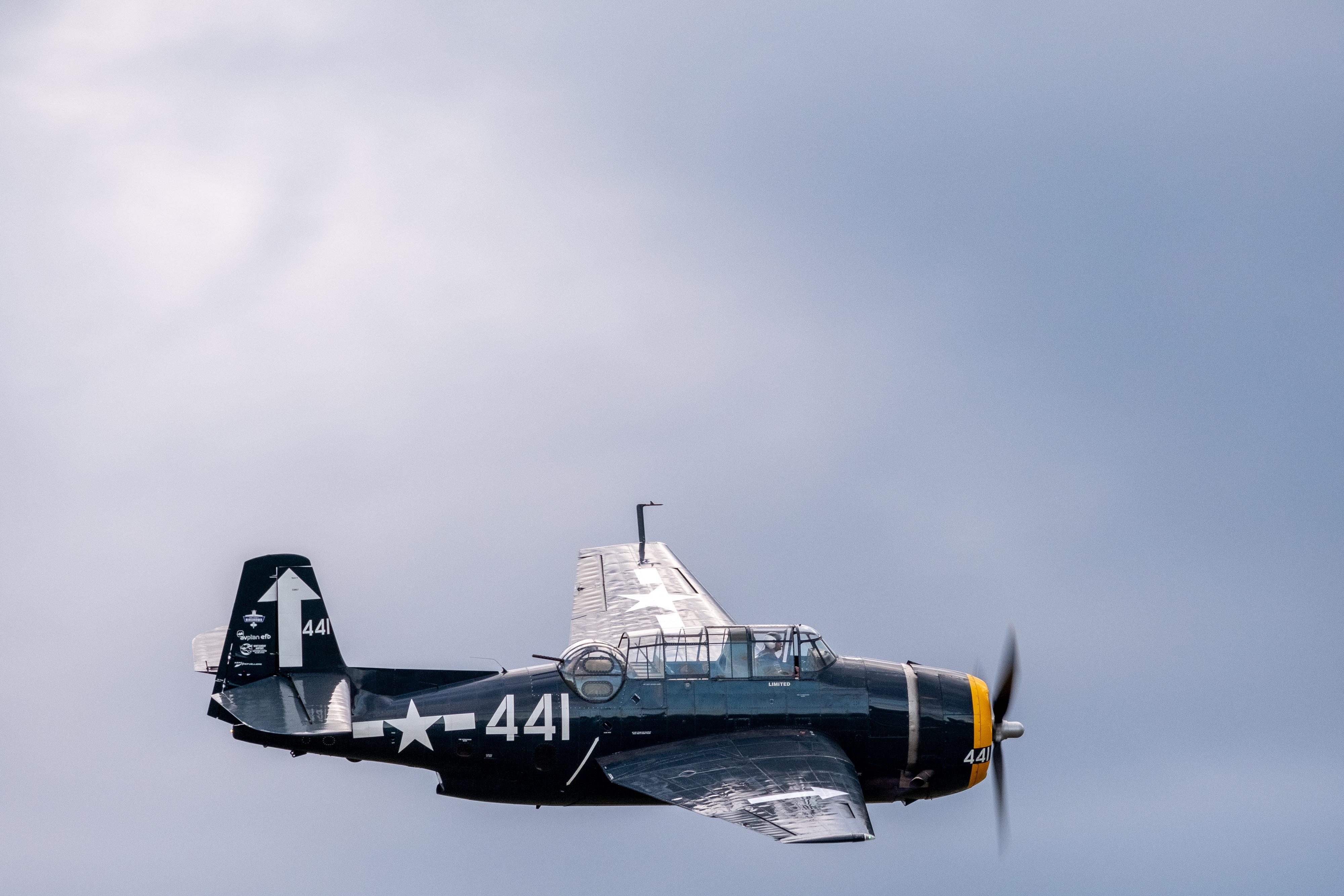 FUJIFILM X-H1 | XF100-400mmF4.5-5.6 R LM OIS WR | 400.0 mm | 1/250 | f/9 | ISO 400