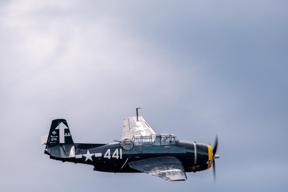 FUJIFILM X-H1 | XF100-400mmF4.5-5.6 R LM OIS WR | 400.0 mm | 1/250 | f/9 | ISO 400