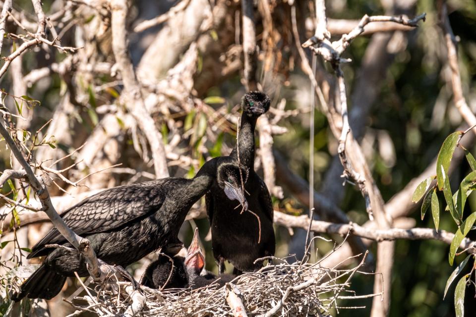 FUJIFILM X-H1 | XF100-400mmF4.5-5.6 R LM OIS WR | 400.0 mm | 1/1000 | f/7.1 | ISO 640