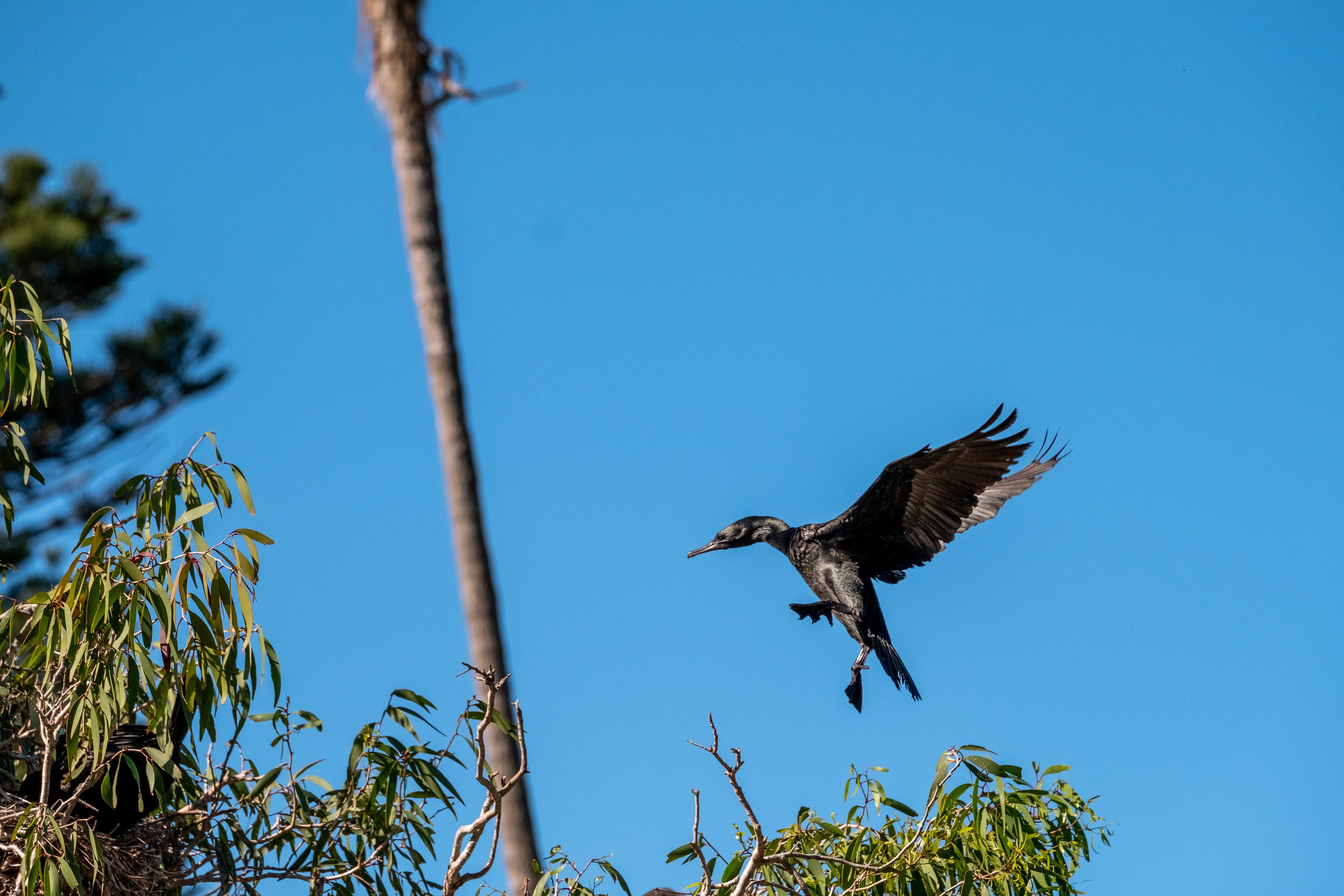 FUJIFILM X-H1 | XF100-400mmF4.5-5.6 R LM OIS WR | 211.0 mm | 1/1600 | f/7.1 | ISO 400