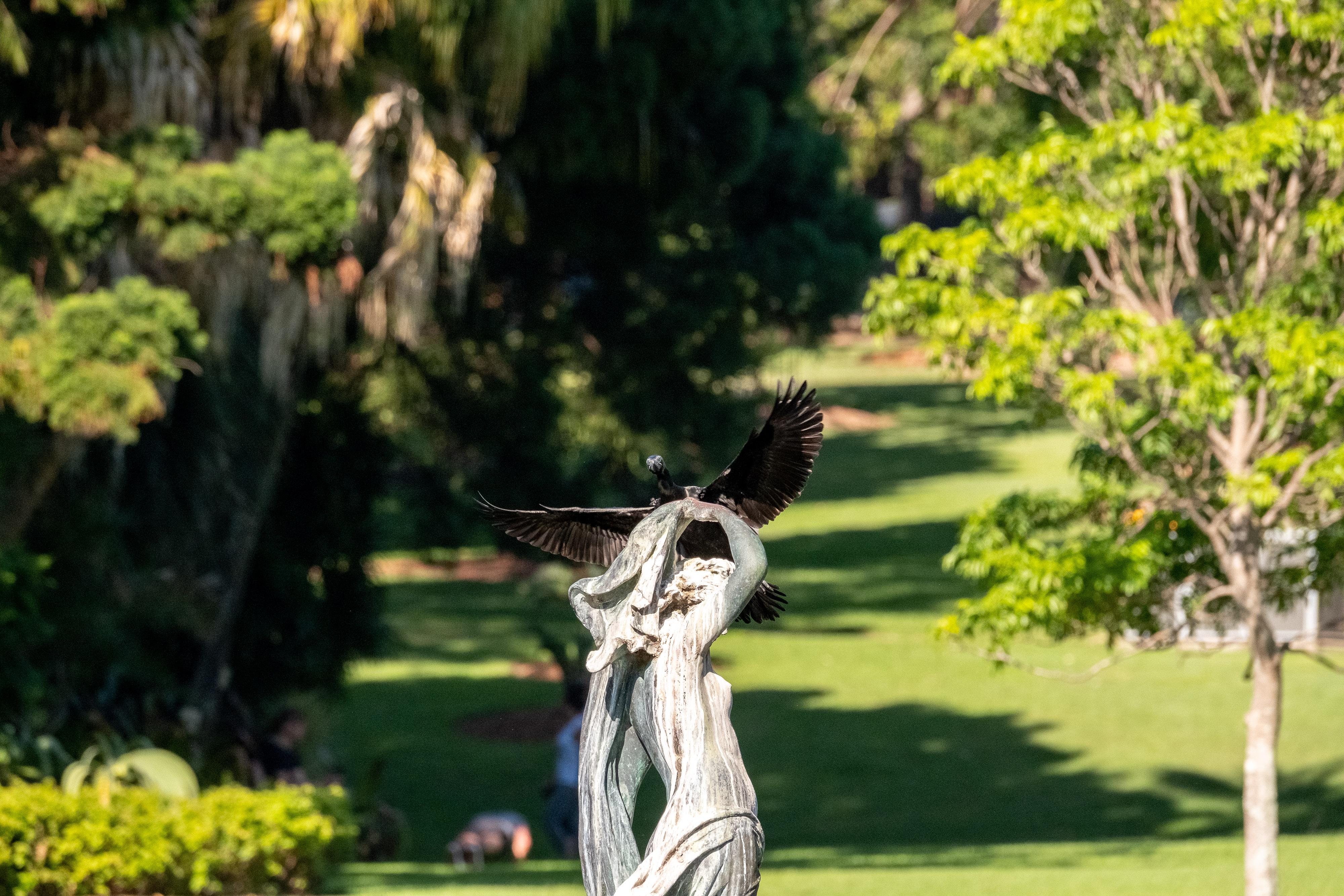 FUJIFILM X-H1 | XF100-400mmF4.5-5.6 R LM OIS WR | 261.2 mm | 1/1600 | f/7.1 | ISO 1250