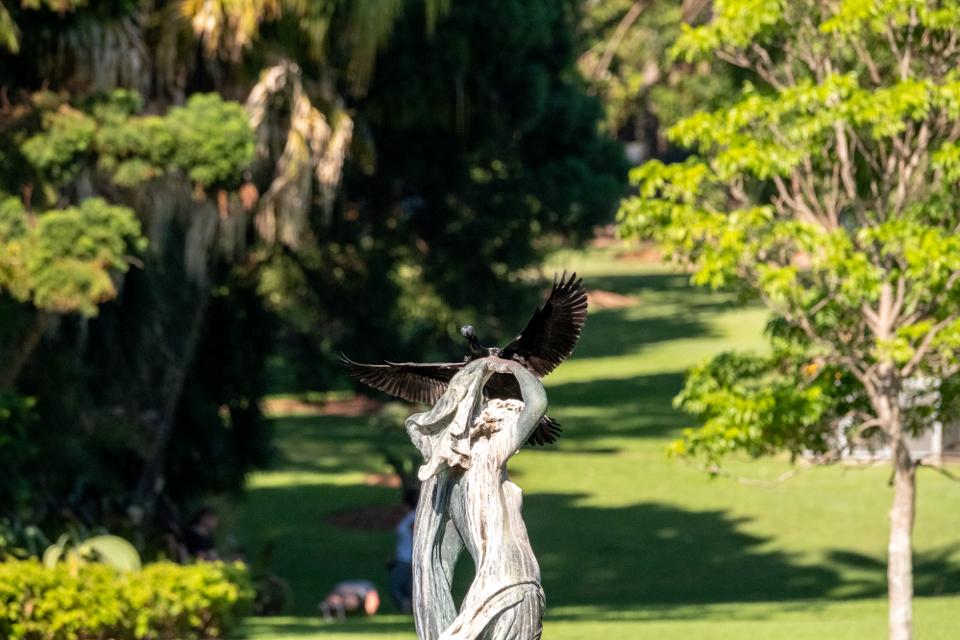 FUJIFILM X-H1 | XF100-400mmF4.5-5.6 R LM OIS WR | 261.2 mm | 1/1600 | f/7.1 | ISO 1250