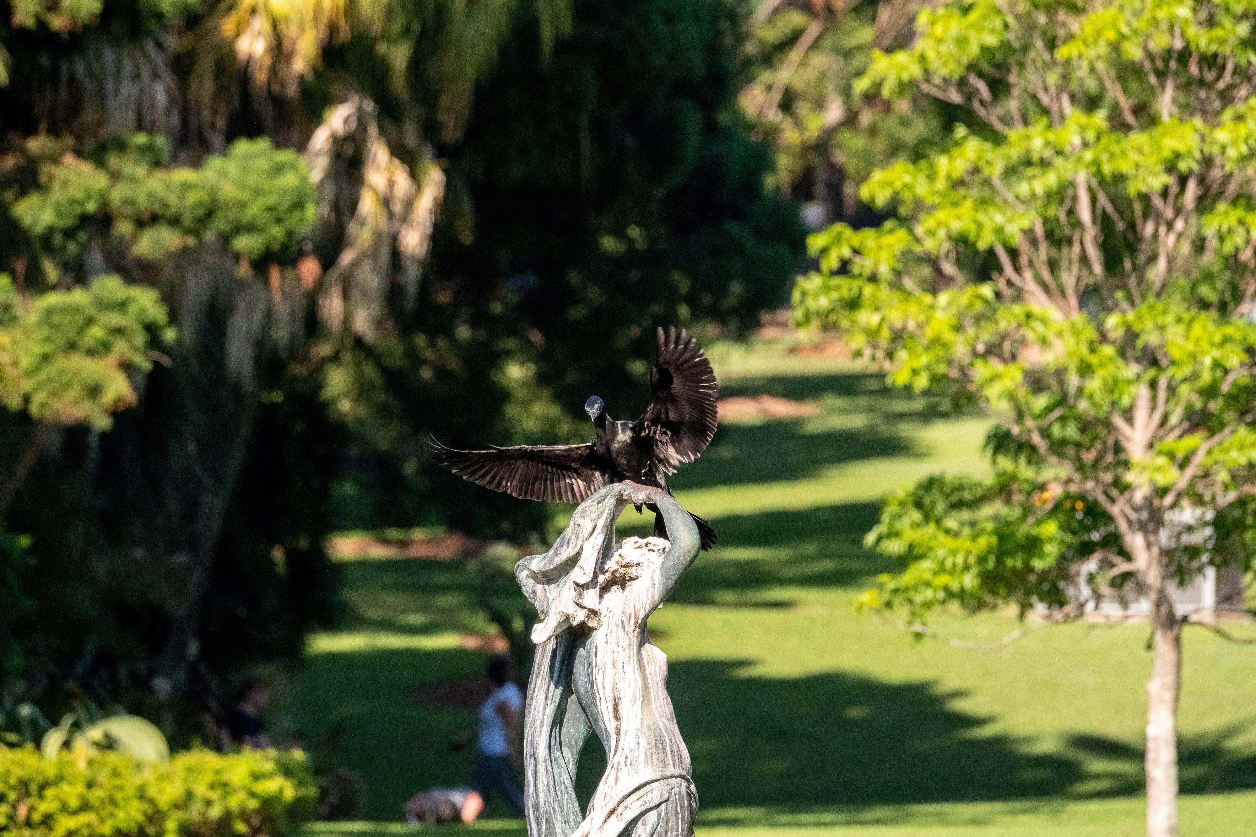 FUJIFILM X-H1 | XF100-400mmF4.5-5.6 R LM OIS WR | 261.2 mm | 1/1600 | f/7.1 | ISO 1250