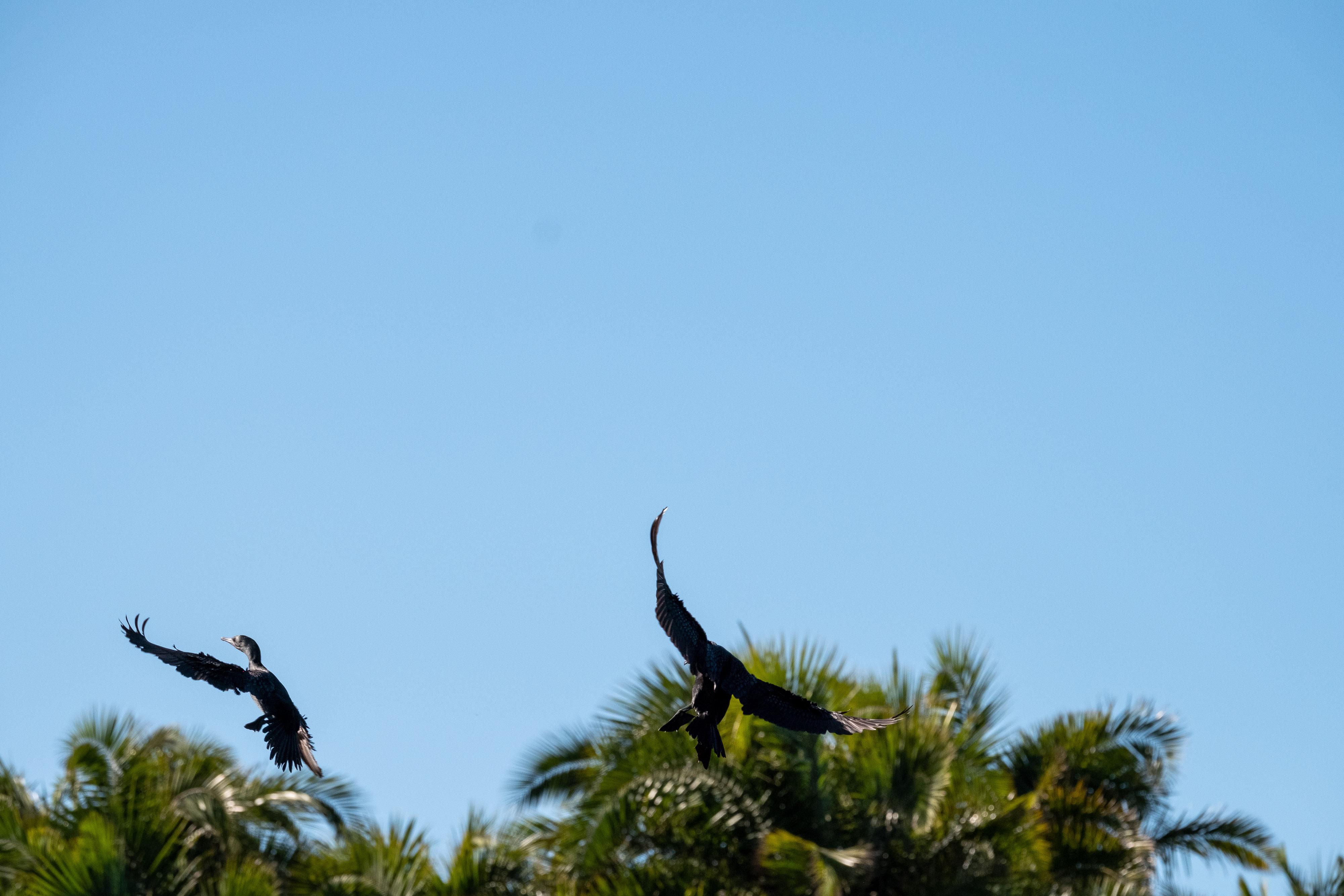 FUJIFILM X-H1 | XF100-400mmF4.5-5.6 R LM OIS WR | 189.7 mm | 1/1600 | f/8 | ISO 400